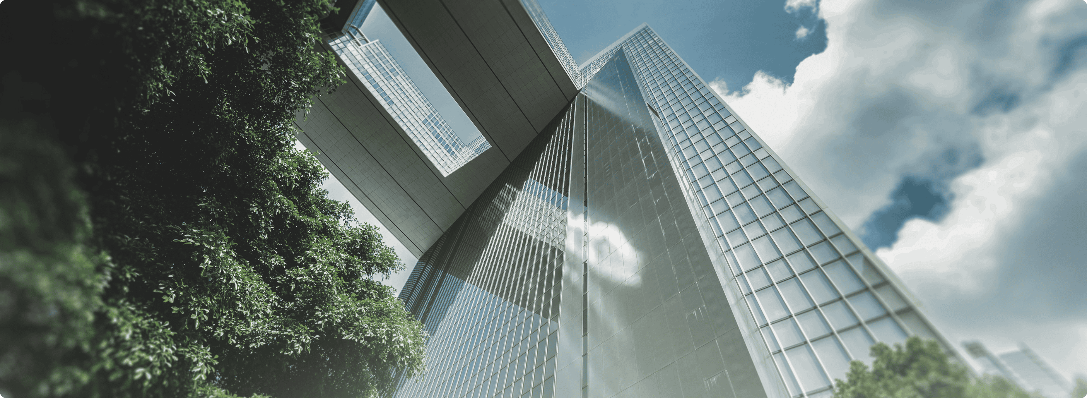 Powered by Experience & Expertise